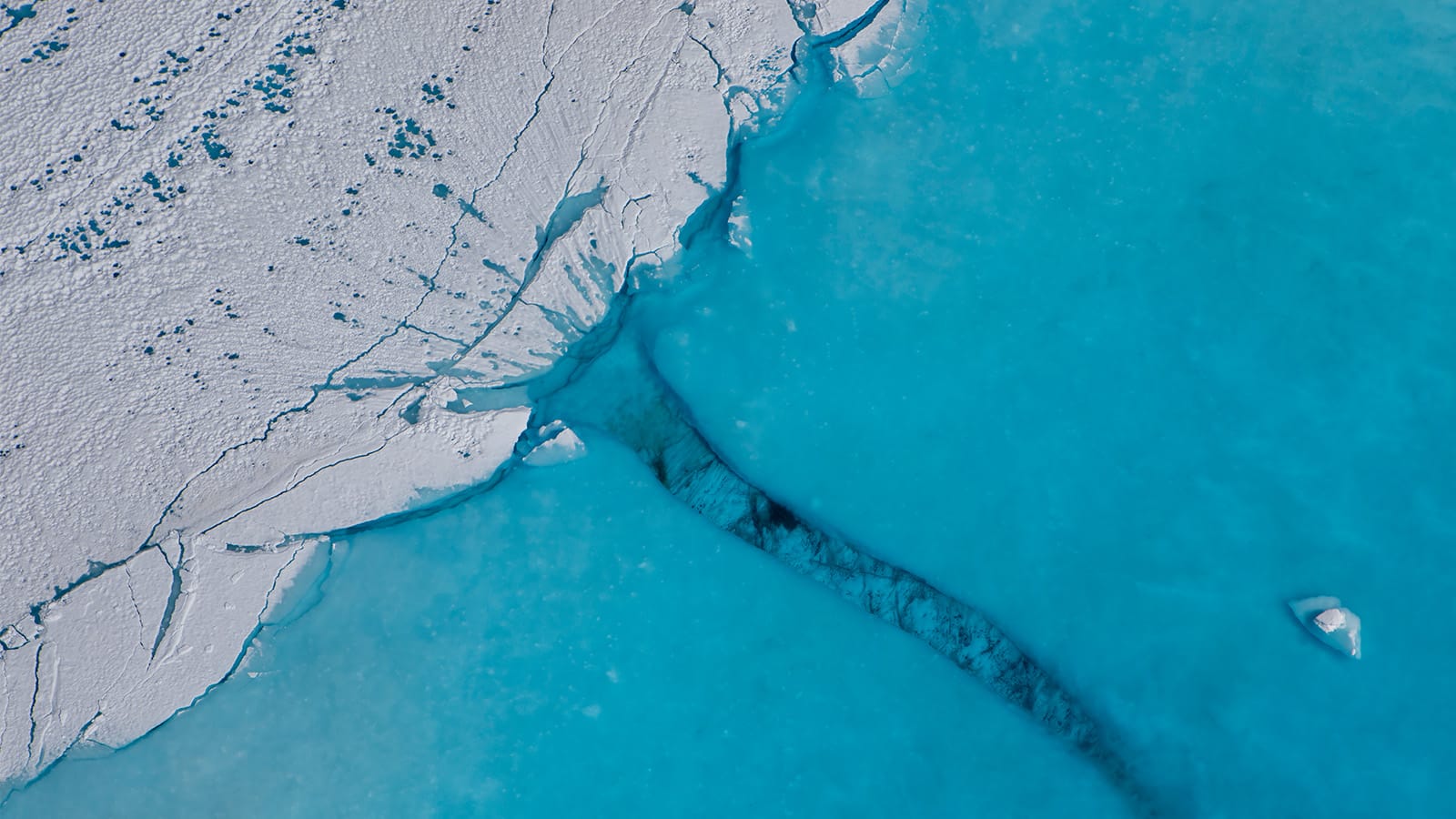 "Alaska Amilpiés", exposición de Arturo Polo